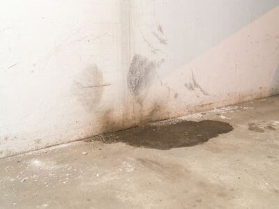 Professional flooded basement cleanup miami fl services in Miami